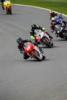 PJ-Motorsport-2019;donington-no-limits-trackday;donington-park-photographs;donington-trackday-photographs;no-limits-trackdays;peter-wileman-photography;trackday-digital-images;trackday-photos